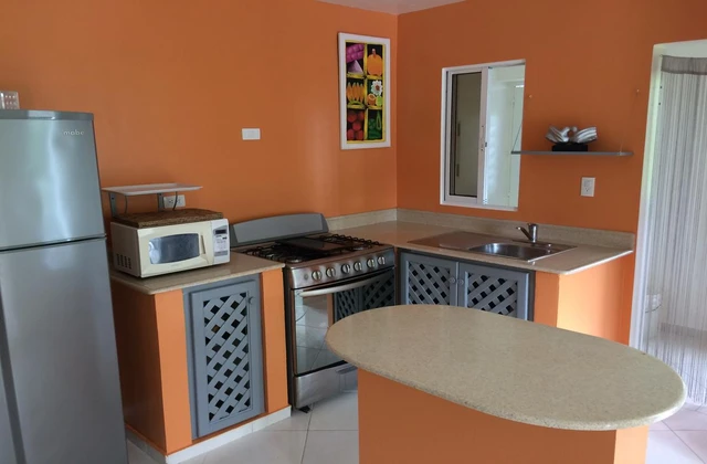 Residence Caoba Las Terrenas Apartment Kitchen 2